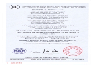 双电源资质英文版